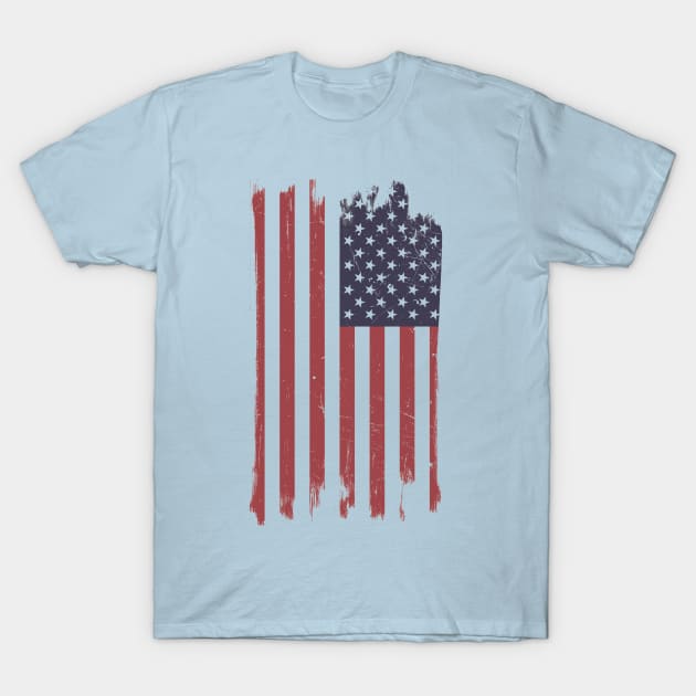 USA FLAG T-Shirt by spicytees